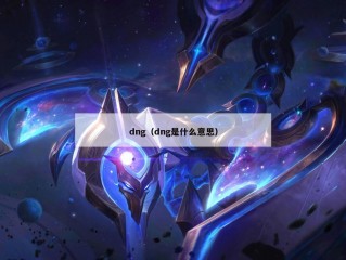 dng（dng是什么意思）