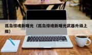 孤岛惊魂新曙光（孤岛惊魂新曙光武器升级上限）