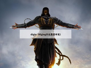 digin（diging什么意思中文）