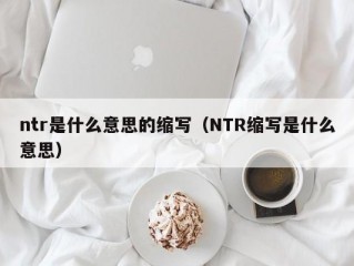 ntr是什么意思的缩写（NTR缩写是什么意思）