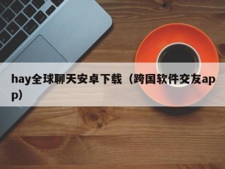 hay全球聊天安卓下载（跨国软件交友app）