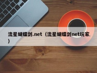 流星蝴蝶剑.net（流星蝴蝶剑net玩家）