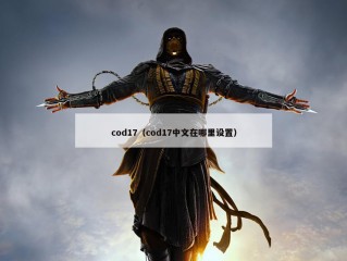 cod17（cod17中文在哪里设置）