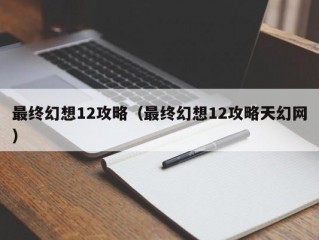 最终幻想12攻略（最终幻想12攻略天幻网）