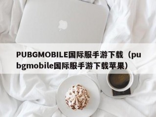 PUBGMOBILE国际服手游下载（pubgmobile国际服手游下载苹果）