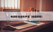 桃园职业进阶声望（桃园转职）