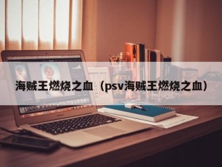 海贼王燃烧之血（psv海贼王燃烧之血）