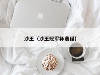 沙王（沙王冠军杯赛程）