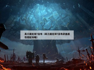 真三国无双7吕布（真三国无双7吕布武器属性搭配攻略）