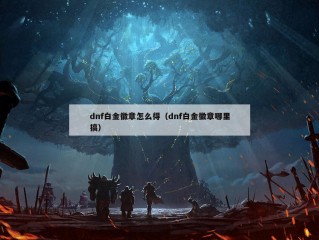 dnf白金徽章怎么得（dnf白金徽章哪里搞）