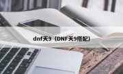 dnf天9（DNF天9搭配）