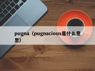 pugna（pugnacious是什么意思）