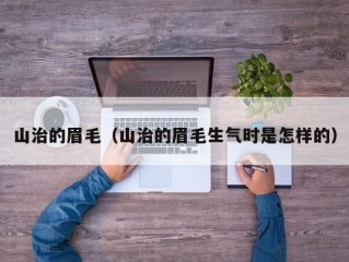 山治的眉毛（山治的眉毛生气时是怎样的）