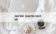 merlini（merlin bird id）