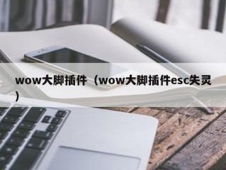 wow大脚插件（wow大脚插件esc失灵）