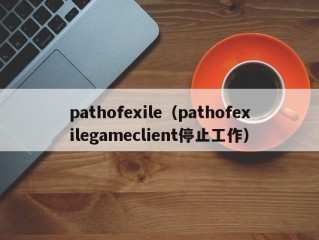 pathofexile（pathofexilegameclient停止工作）