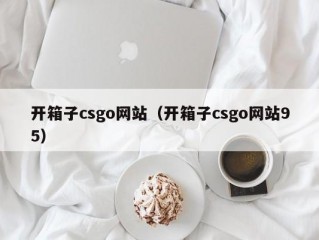 开箱子csgo网站（开箱子csgo网站95）