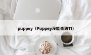 puppey（Puppey没能晋级TI）