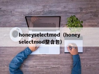 honeyselectmod（honeyselectmod整合包）