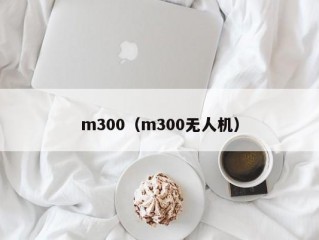 m300（m300无人机）