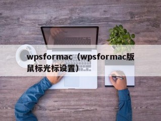 wpsformac（wpsformac版鼠标光标设置）